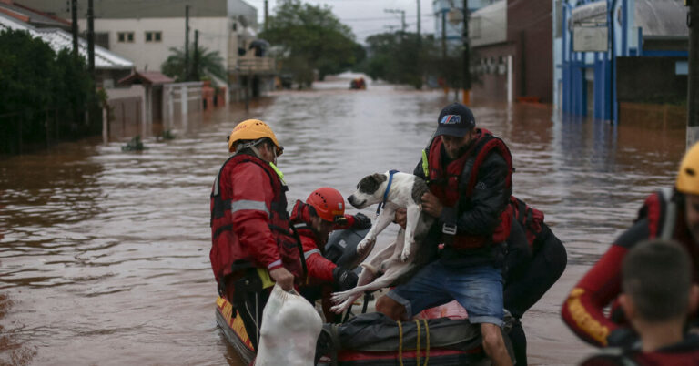 00brazil Floods Pets Facebookjumbo.jpg