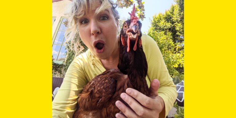 Chickens Trish Sie.jpg