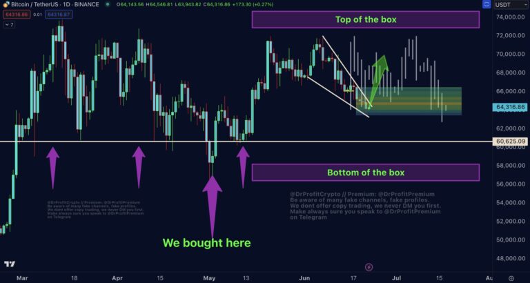 Doctor Profit Bitcoin Chart.jpg