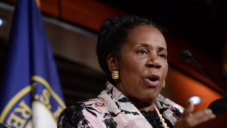 Rep. Sheila Jackson Lee.jpg