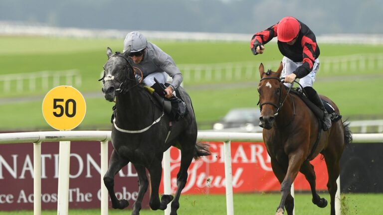 Skysports Fallen Angel Moyglare 6280162.jpg