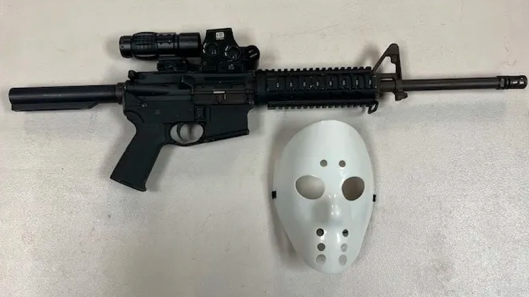 Police Pull Over Driver Wearing 22jason22 Mask In Santa Rosa.png