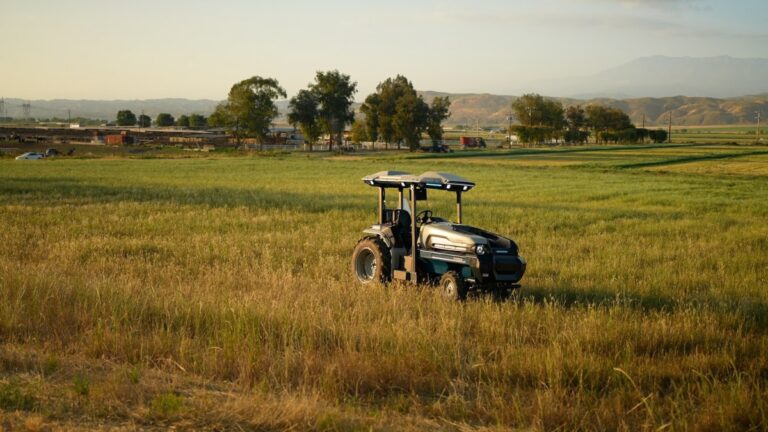 Monarch Dairy Riley.jpg